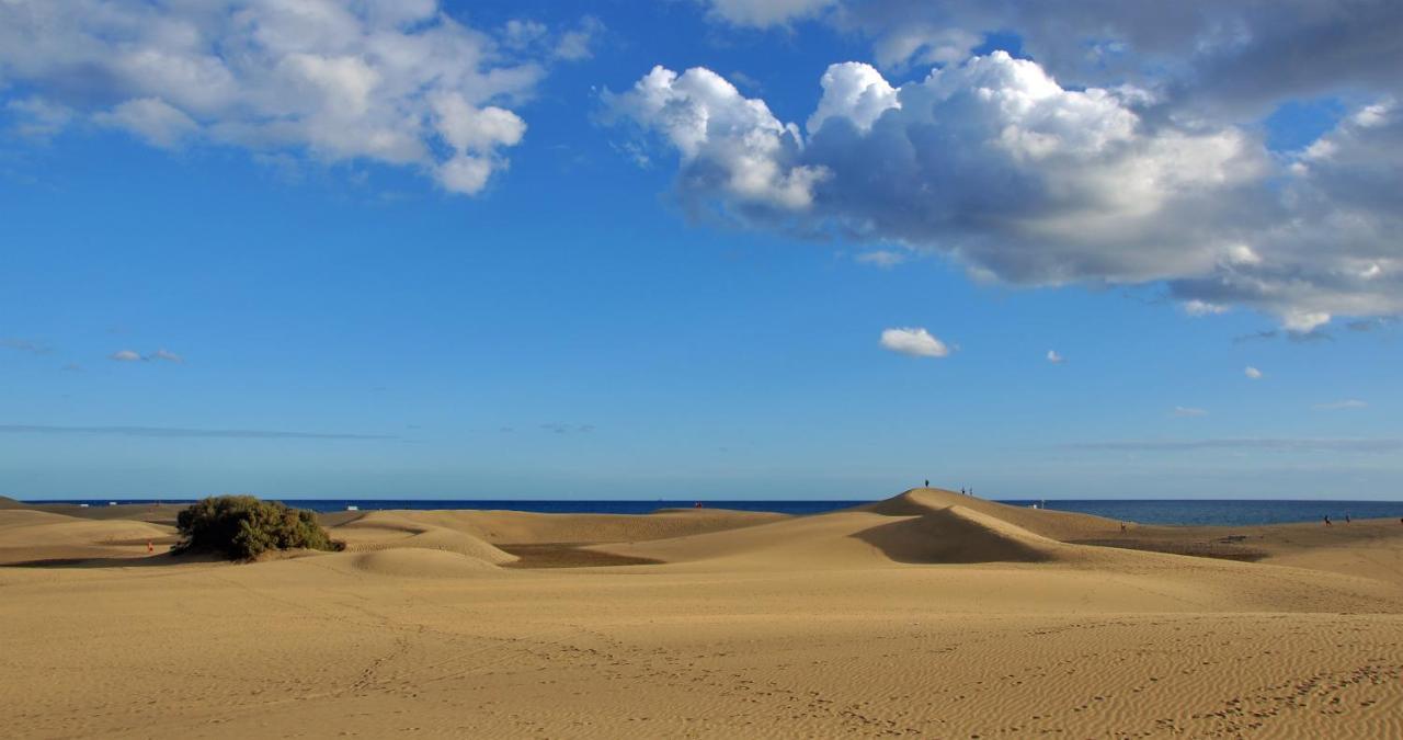 Cozy Colorado Pool View #3 Apartment Maspalomas  Luaran gambar
